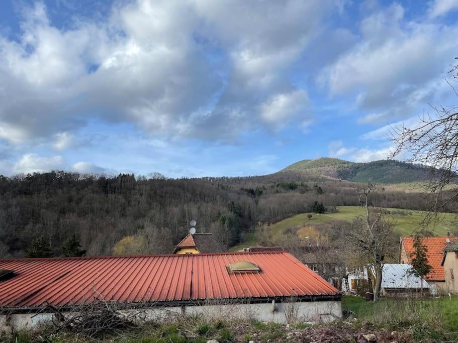 Hébergement de vacances Hohwarth - Le Contemporain - 6 Personnes Saint-Pierre-Bois